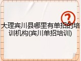 大理宾川县哪里有单招的培训机构(宾川单招培训)
