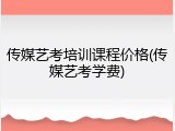 传媒艺考培训课程价格(传媒艺考学费)