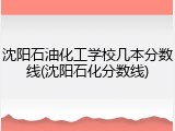 沈阳石油化工学校几本分数线(沈阳石化分数线)
