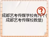 成都艺考传媒学校有几个(成都艺考传媒校数量)