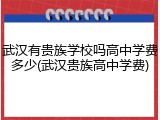 武汉有贵族学校吗高中学费多少(武汉贵族高中学费)
