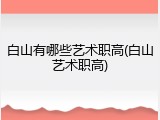 白山有哪些艺术职高(白山艺术职高)