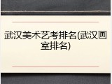 武汉美术艺考排名(武汉画室排名)