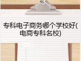 专科电子商务哪个学校好(电商专科名校)