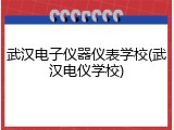 武汉电子仪器仪表学校(武汉电仪学校)