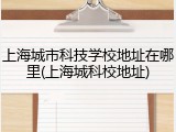 上海城市科技学校地址在哪里(上海城科校地址)