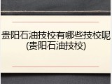 贵阳石油技校有哪些技校呢(贵阳石油技校)