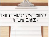 四川石油财经学校旧址图片(川油校旧址图)