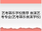 艺考器乐学校推荐 表演艺考专业(艺考器乐表演学校)