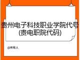 贵州电子科技职业学院代号(贵电职院代码)