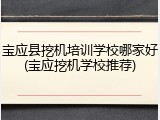 宝应县挖机培训学校哪家好(宝应挖机学校推荐)