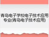 青岛电子学校电子技术应用专业(青岛电子技术应用)