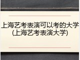 上海艺考表演可以考的大学(上海艺考表演大学)