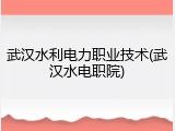 武汉水利电力职业技术(武汉水电职院)