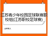 江苏青少年校园足球联赛职校组(江苏职校足球赛)