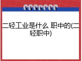 二轻工业是什么 职中的(二轻职中)
