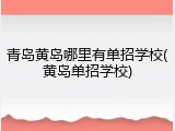 青岛黄岛哪里有单招学校(黄岛单招学校)