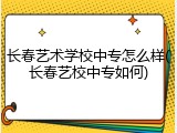 长春艺术学校中专怎么样(长春艺校中专如何)