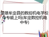 楚雄牟定县的数控机电学校中专能上吗(牟定数控机电中专)