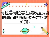 阿拉善阿拉善左旗数控技能培训中职班(阿拉善左旗数控班)