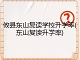攸县东山复读学校升学率(东山复读升学率)