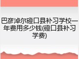 巴彦淖尔磴口县补习学校一年费用多少钱(磴口县补习学费)