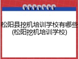 松阳县挖机培训学校有哪些(松阳挖机培训学校)