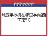 城西学挖机在哪里学(城西学挖机)