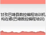 甘孜巴塘县数控编程培训机构在哪(巴塘数控编程培训)
