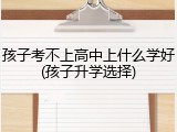 孩子考不上高中上什么学好(孩子升学选择)