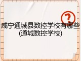 咸宁通城县数控学校有哪些(通城数控学校)