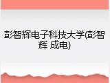 彭智辉电子科技大学(彭智辉 成电)