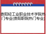 贵阳轻工业职业技术学院热门专业(贵阳职院热门专业)