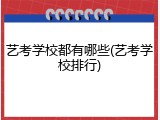 艺考学校都有哪些(艺考学校排行)