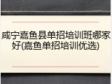 咸宁嘉鱼县单招培训班哪家好(嘉鱼单招培训优选)