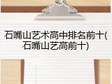 石嘴山艺术高中排名前十(石嘴山艺高前十)
