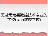 芜湖无为县数控技术专业的学校(无为数控学校)