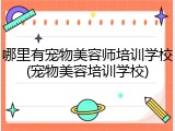 哪里有宠物美容师培训学校(宠物美容培训学校)