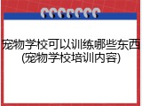 宠物学校可以训练哪些东西(宠物学校培训内容)