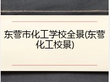 东营市化工学校全景(东营化工校景)
