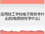 应用技工学校电子商务学什么的(电商技校学什么)