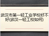 武汉市第一轻工业学校好不好(武汉一轻工校如何)