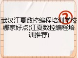 武汉江夏数控编程培训学校哪家好点(江夏数控编程培训推荐)
