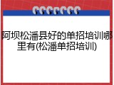 阿坝松潘县好的单招培训哪里有(松潘单招培训)