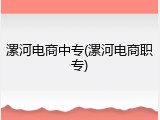 漯河电商中专(漯河电商职专)