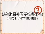 鹤壁淇县补习学校哪里有(淇县补习学校地址)