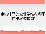 贵港桂平的农业学校在哪里(桂平农校位置)
