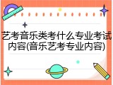 艺考音乐类考什么专业考试内容(音乐艺考专业内容)