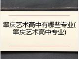 肇庆艺术高中有哪些专业(肇庆艺术高中专业)