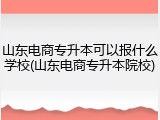 山东电商专升本可以报什么学校(山东电商专升本院校)
